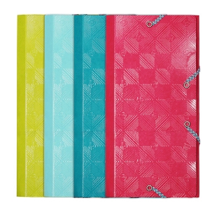 Imagem de CAPA C/ELASTICOS DL 12X23CM EXACOMPTA 1928 3 ABAS (55240E)