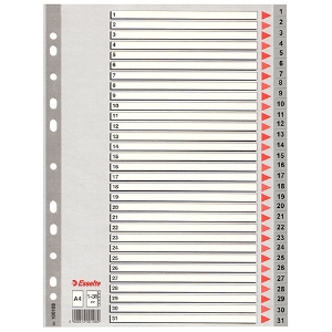 Imagem de SEPARADOR PP A4 31 POSIÇOES ESSELTE 100108 NUMERADO CINZA