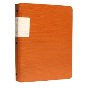 Imagem de PORTFOLIO A4 30 BOLSAS FEGOL RE:STYLE 073123 LARANJA