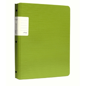 Picture of PORTFOLIO A4 30 BOLSAS FEGOL RE:STYLE 073123 VERDE