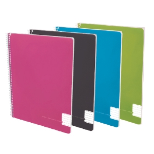 Imagem de CADERNO ESPIRAL CAPA PP A4 80FOLHAS PAJORY COLORS XADREZ